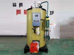 500公斤蒸汽發生器_燃氣燃油蒸汽發生器